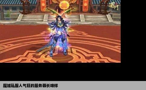魔域私服人气旺的服务器长啥样