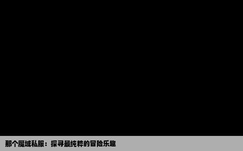 那个魔域私服：探寻最纯粹的冒险乐趣